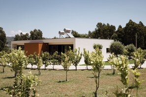 Ein modernes Gebäude mit flachem Dach, Solaranlagen und einem Garten mit jungen Bäumen.