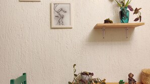 A room with a green chair, a wooden shelf with a plant, and framed artwork on the wall. - •Blood and Wisdom • Home - Art Gallery • Lodging, art, clay, and cardboard crafts• (San Cristóbal de las Casas)