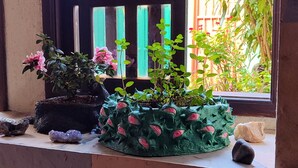 A window with a view of greenery, a potted plant with pink flowers, and a decorative rock.