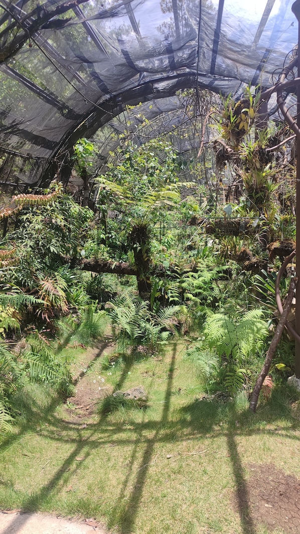 Un invernadero con diversas plantas y un tronco de árbol en el centro.