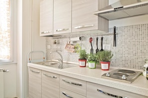 Coffee/tea maker, fridge, microwave, stovetop - Apartment 'Il Sogno in Rome -' with Balcony, Wi-Fi and Air Conditioning (Rome)