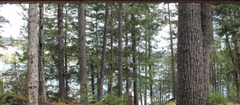 Log cabin style lean-to, perfect for nature lovers!