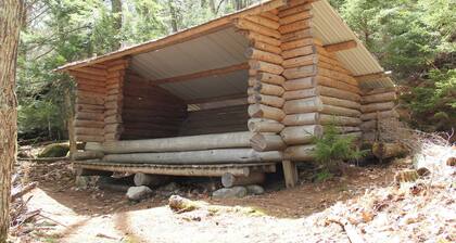 Log cabin style lean-to, perfect for nature lovers!