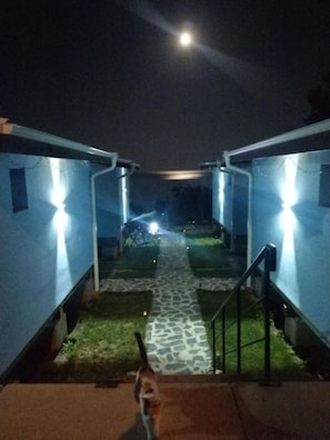A pathway leading to a row of blue buildings with external lighting, a dog in the foreground, and a moon in the sky.