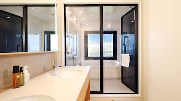 Combined shower/tub, hair dryer, towels, shampoo