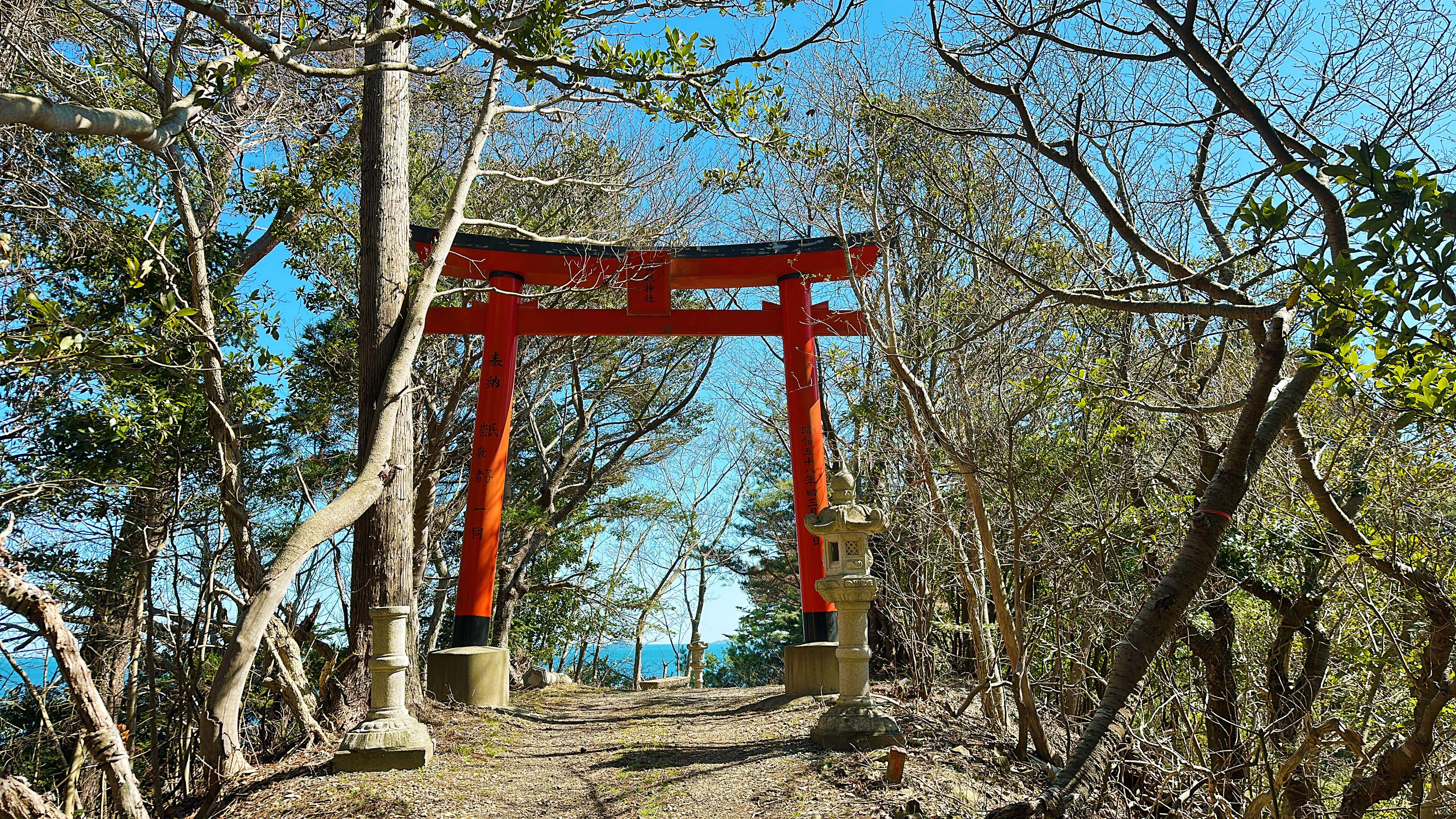 A traditional Japanese torii gate in a forested area with a clear sky.