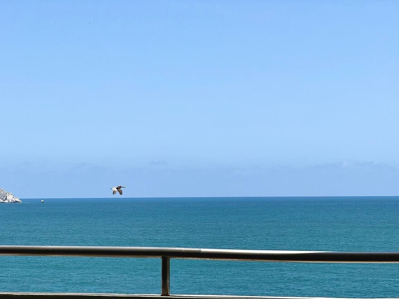 A clear view of the ocean with a distant landmass and a bird in flight.