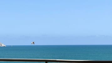 A clear view of the ocean with a distant landmass and a bird in flight.