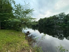 A calm lake surrounded by dense trees and grassy banks.