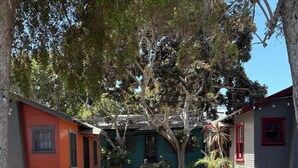 A courtyard with a pathway leading to a building with a green door, surrounded by trees and a cactus plant.
