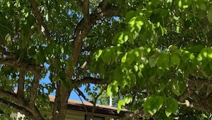 A single-story house with a front porch, a visible mailbox, and a tree in the foreground. - One bedroom apartment in the  finger lakes (Naples)