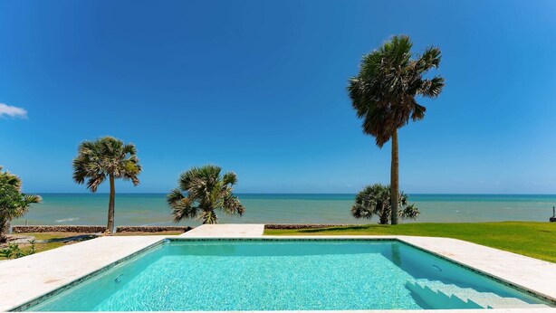 A swimming pool with a view of the ocean and palm trees.