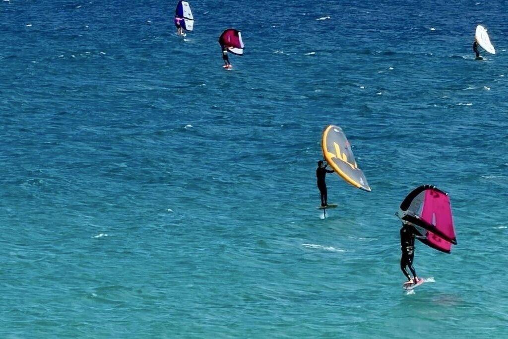 A group of people windsurfing in the ocean.