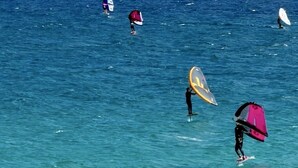 A group of people windsurfing in the ocean.