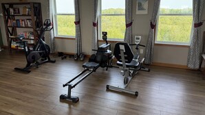 Et hjemmegymnasium med træningsudstyr, store vinduer og en reol.