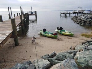 A wooden pier extending into calm water, kayaks on the sand, and a dog on a leash. - Tranquil 4-bedroom house with beautiful views in charming Lancaster (Lancaster)