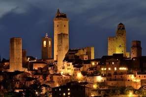 View from property - Podere Il Caggio Appartements (San Gimignano)