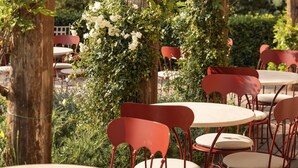 Outdoor seating with round tables and red chairs, surrounded by greenery and trees. - Castello di Tornano (Gaiole in Chianti)