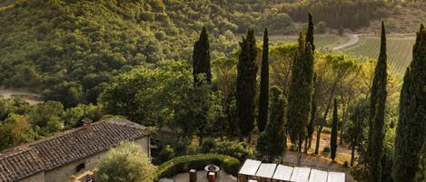 A vineyard with a terrace and outdoor seating area.