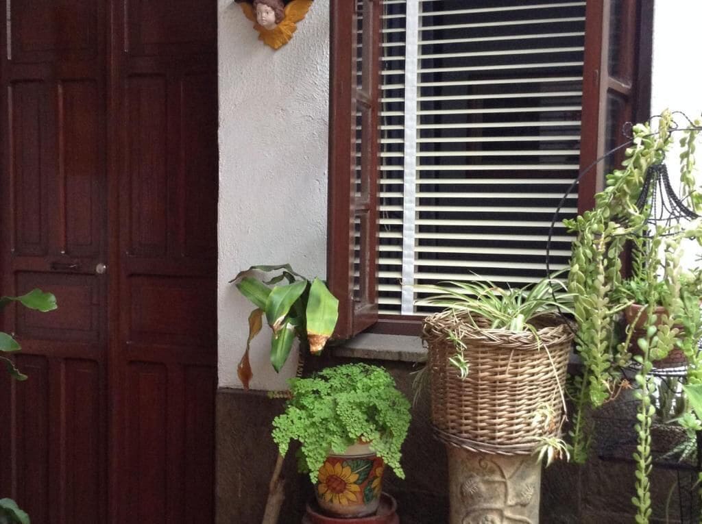 A wooden door, a window with blinds, and two potted plants.