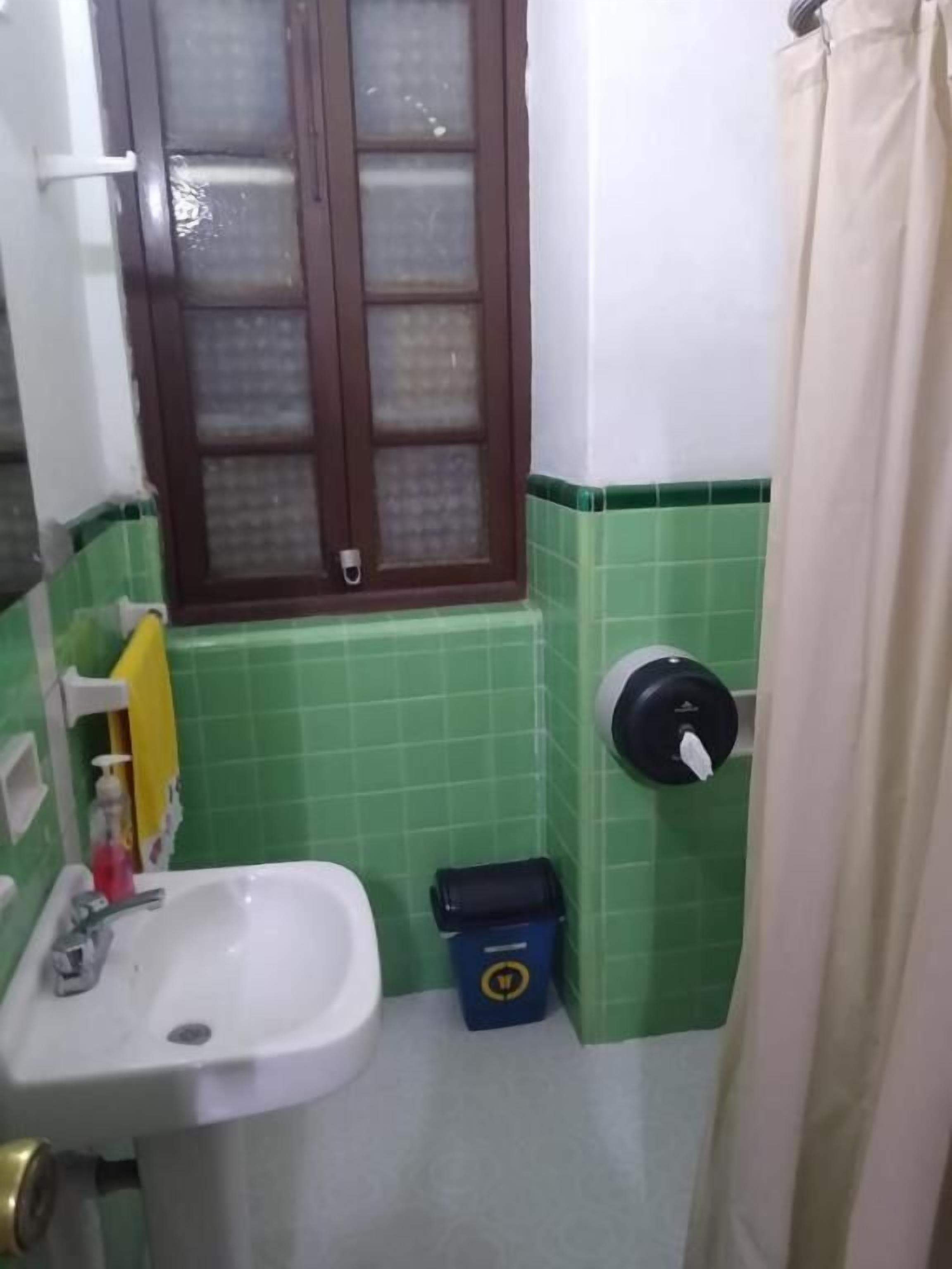 A bathroom with a sink, a window with frosted glass, a towel dispenser, and a trash bin.