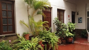 Un patio con plantas en macetas, una palmera y un edificio con pared blanca y puertas de madera.