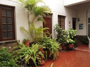 A courtyard with potted plants, a palm tree, and a building with a white wall and wooden doors.