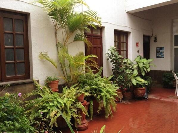 Un patio con plantas en macetas, una palmera y un edificio con pared blanca y puertas de madera.