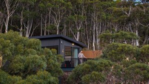 Une cabane moderne dotée d’un balcon, entourée d’une forêt dense.