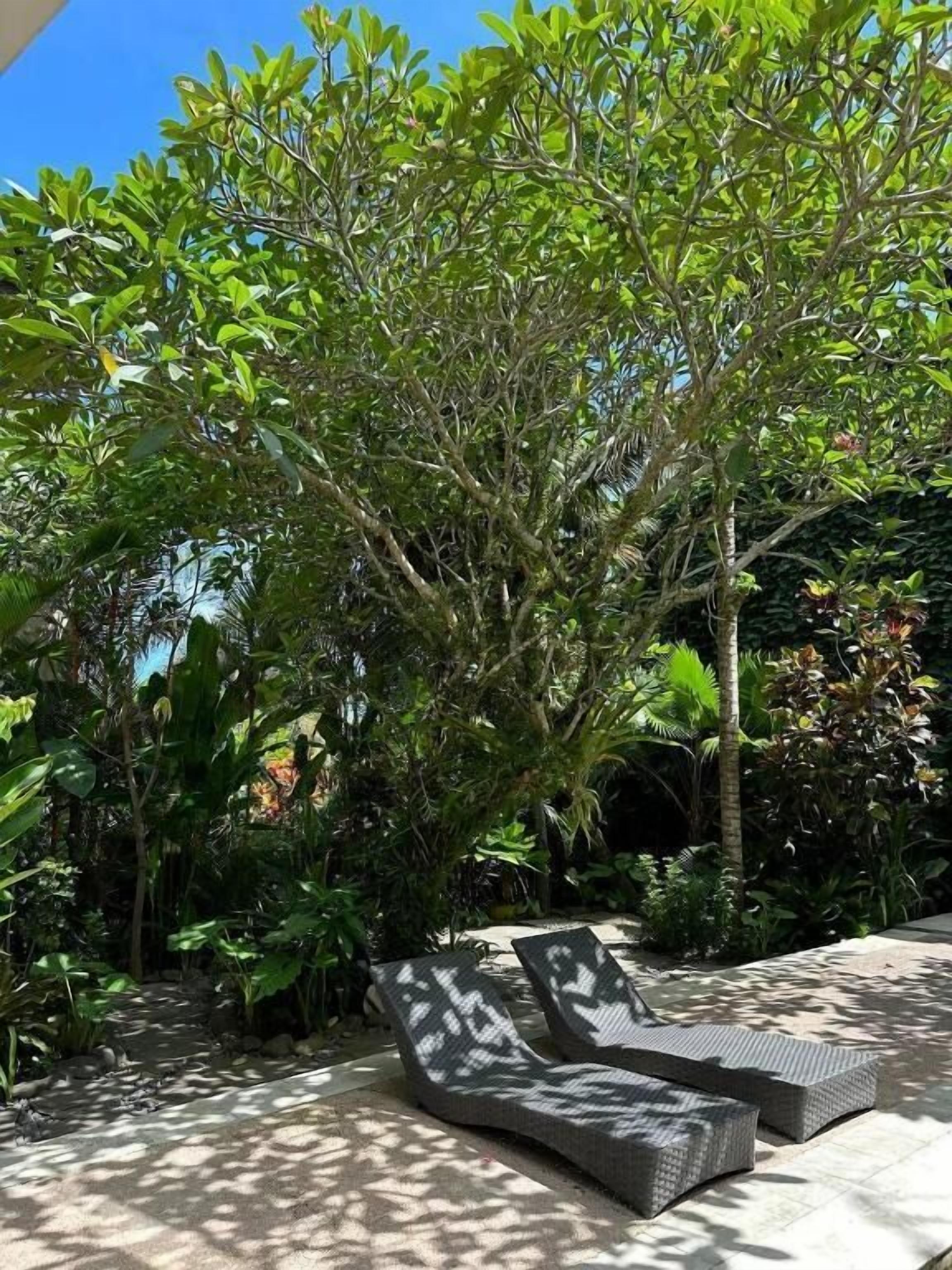 A garden with a curved outdoor seating area and a large tree.