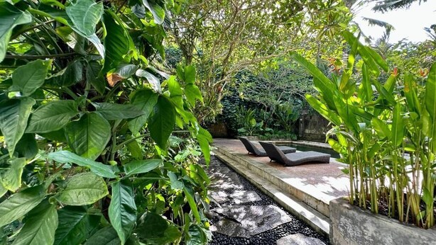Un camino conduce a una zona de estar rodeada de exuberante vegetación y un suelo de baldosas de piedra.