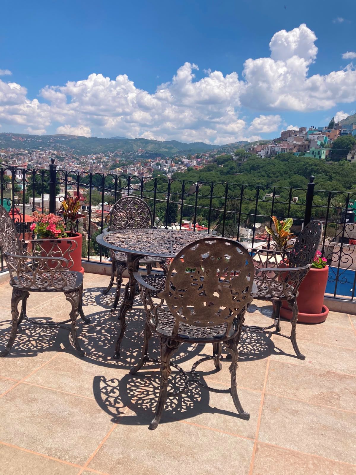 A terrace with a table and chairs, potted plants, and a view of a cityscape.