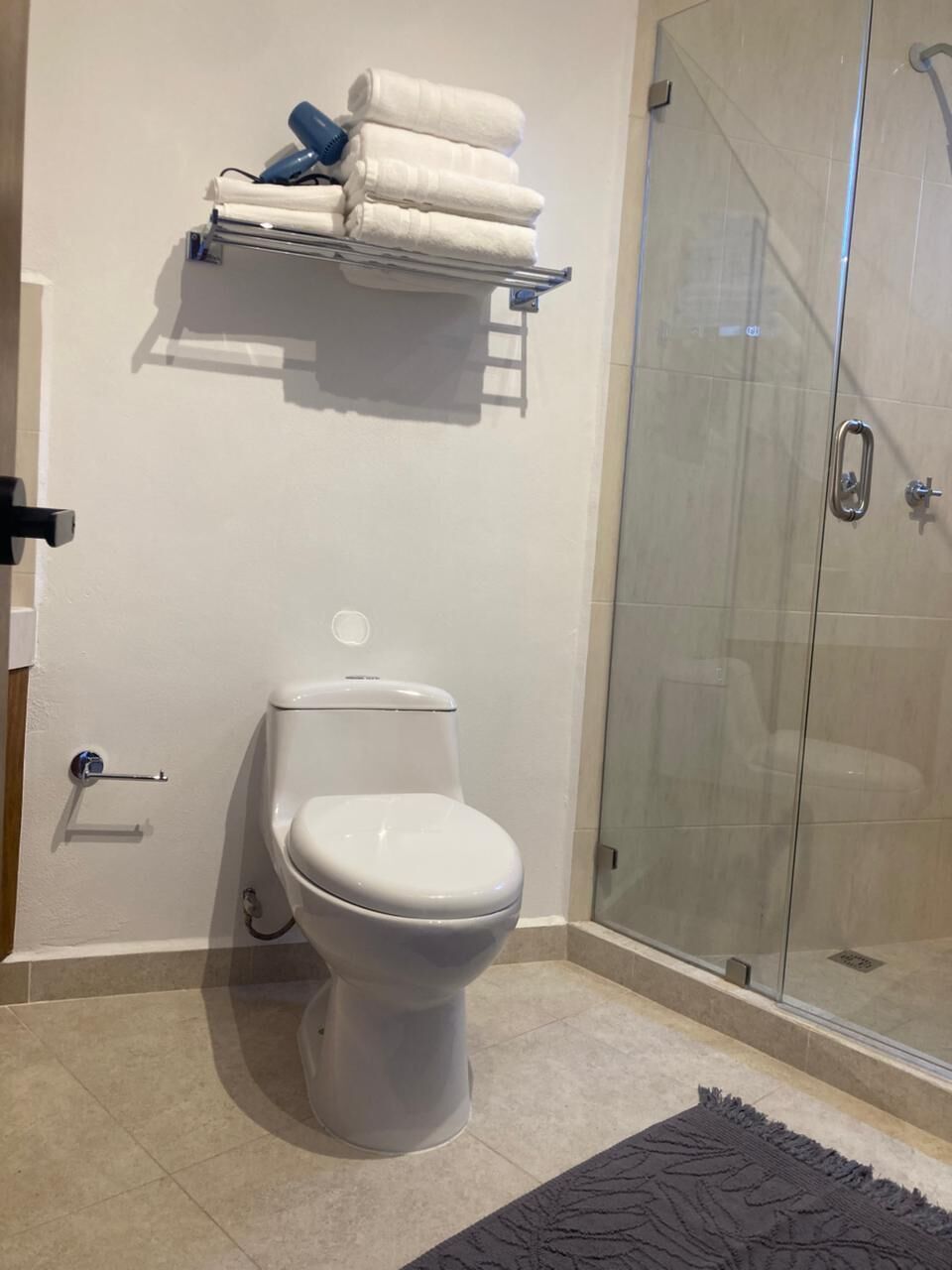 A bathroom with a toilet, a glass shower enclosure, and a towel rack with folded towels.