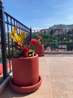 A balcony with potted plants and a view of a cityscape.