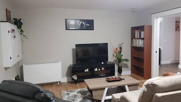 Una sala de estar con televisión, estantería, radiador y sofá.