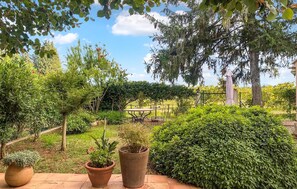 Ein Garten mit Blumentöpfen, einem Tisch und Stühlen.