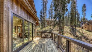 A wooden deck with glass doors leading to a room, surrounded by tall trees.