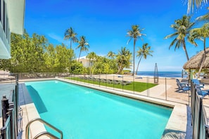 A swimming pool with a clear view of the ocean, surrounded by palm trees and lounge chairs. - PRIVATE BEACH  / Heated Pool / Private Dock / Dolphin Key (Islamorada)