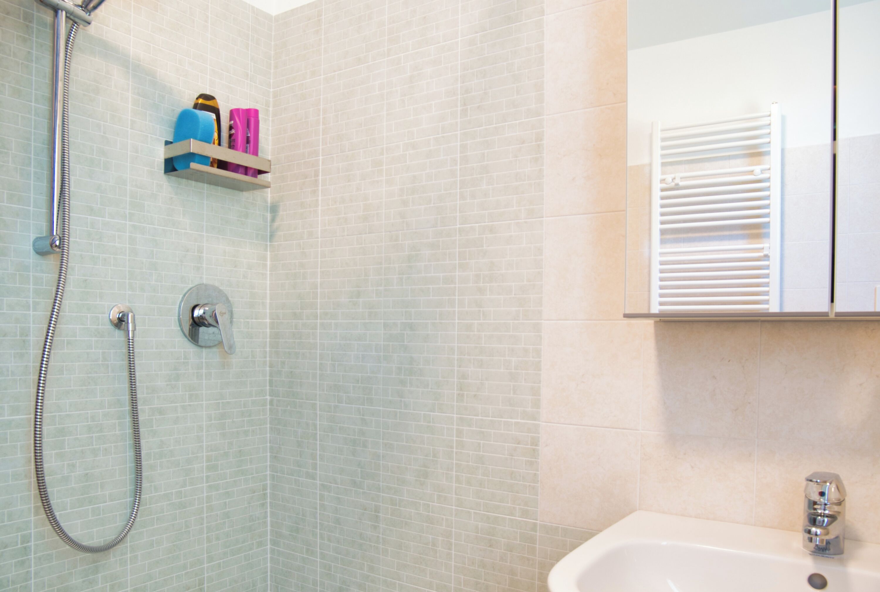 Regadera, secadora de cabello, bidet, toallas 