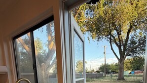 A kitchen with a sink, a window, and a door leading to an outdoor area with a tree and a fence.