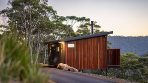 A modern wooden cabin with a dark exterior, a small porch, and a view of the surrounding forest.