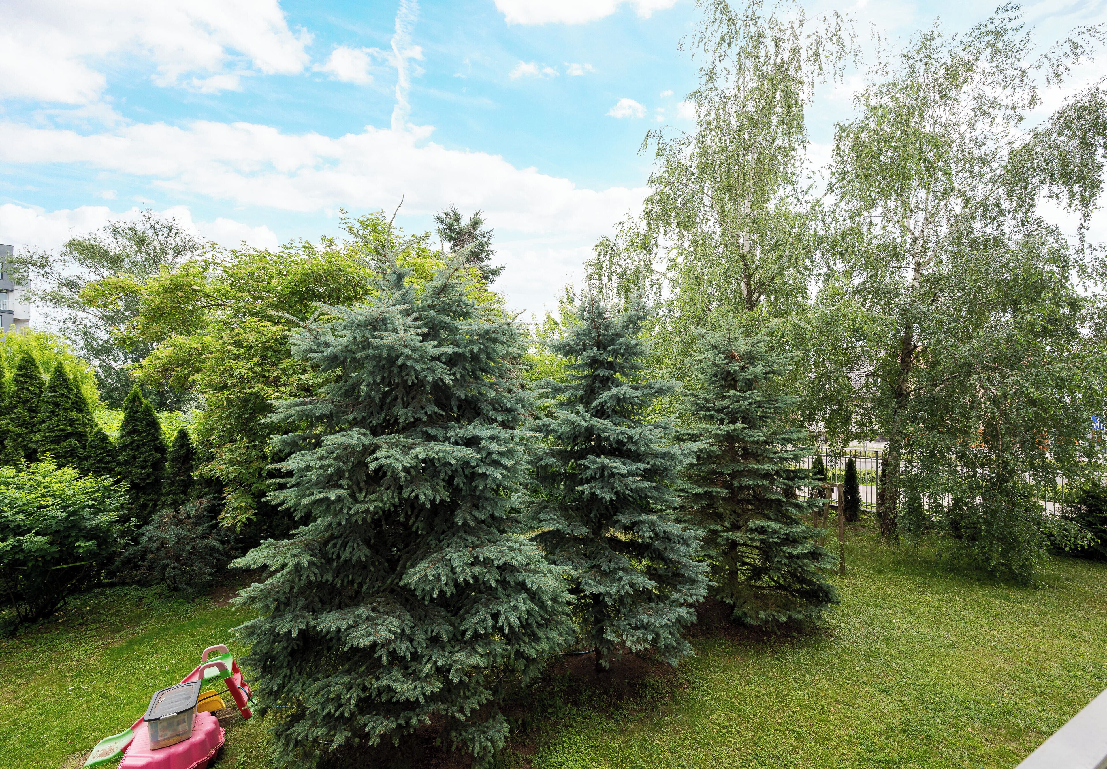 A garden with several coniferous trees, a grassy area, and a small structure with a roof.