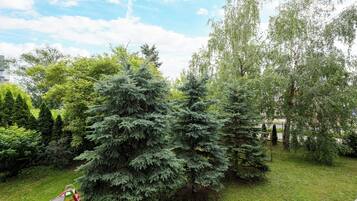 A garden with several coniferous trees, a grassy area, and a small structure with a roof.