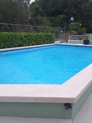 Ein rechteckiger Pool mit hellem Rand, umgeben von einem Drahtzaun und viel Grün.