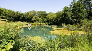 A tranquil pond with a wooden dock, surrounded by lush greenery and trees.