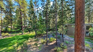 A forested area with a building and a small structure.
