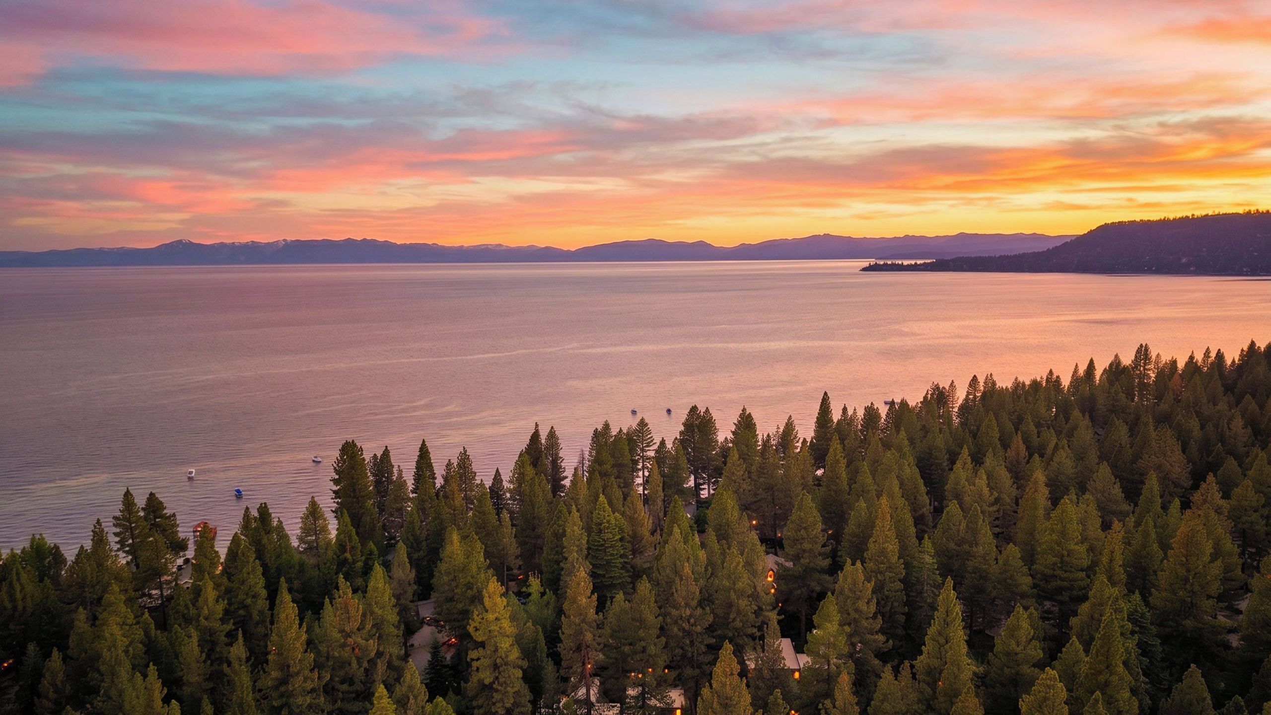 A coastal landscape with dense forest, a calm sea, and distant mountains.