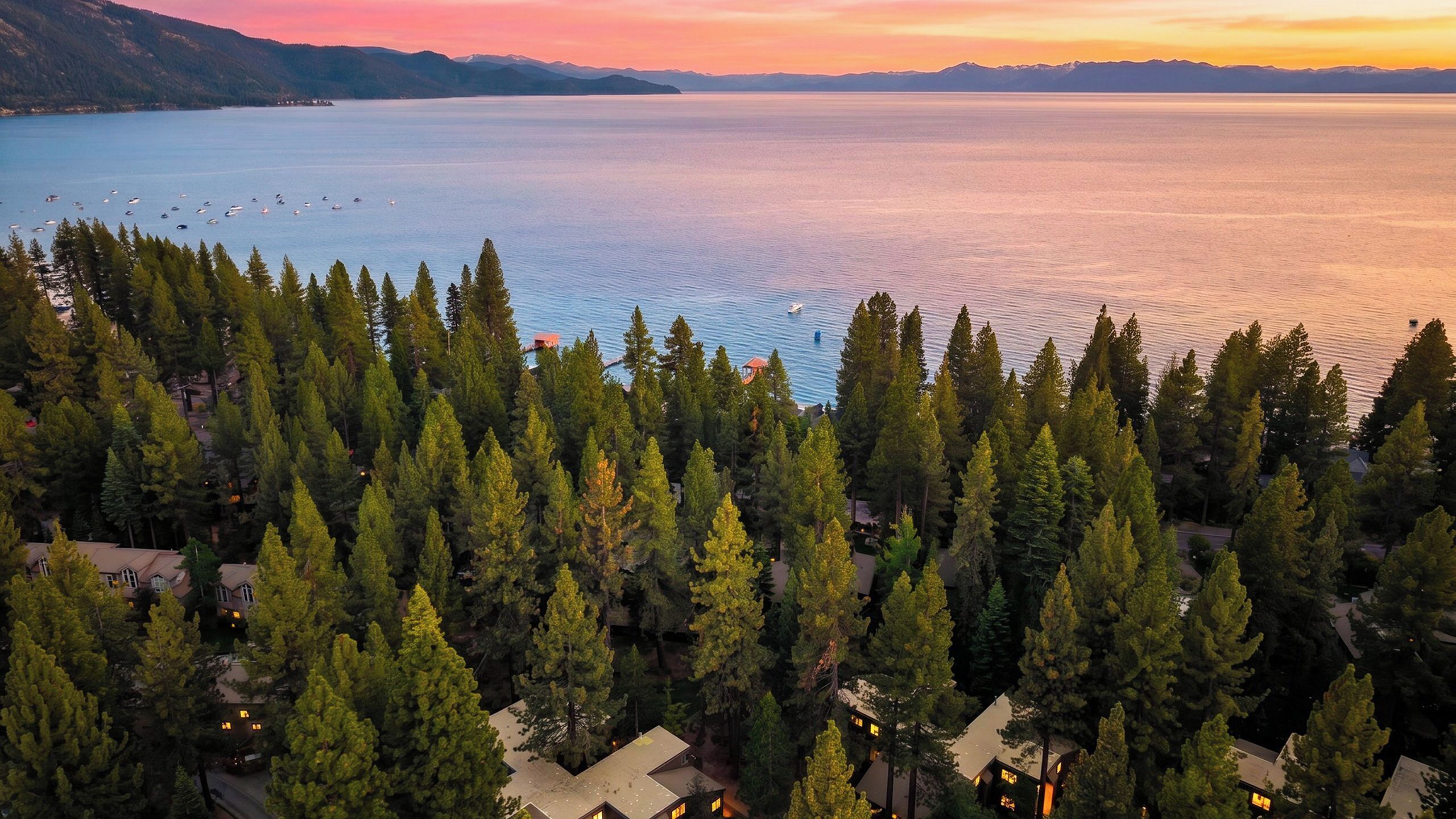 A coastal area with dense coniferous trees, a calm sea, and small boats.