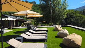Area piscina con sedie a sdraio e ombrelloni, immersa nel verde e con un edificio sullo sfondo.