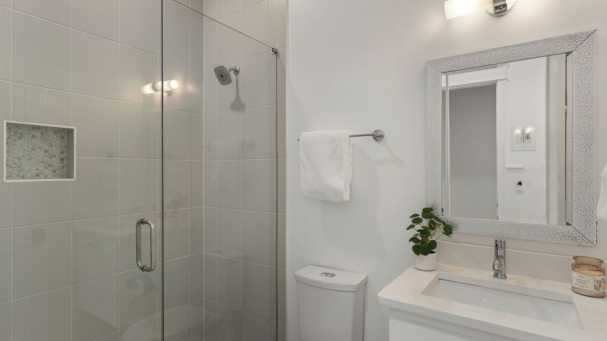 A modern bathroom with a glass shower enclosure, a white sink with a mirror, and a small potted plant.